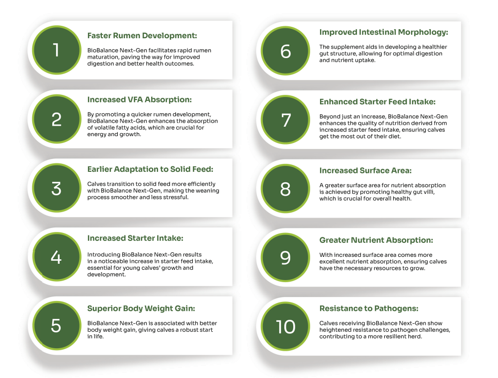 Bio Balance 10 Litres