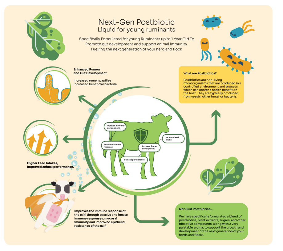 Bio Balance 10 Litres