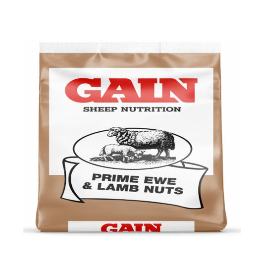 GAIN Prime Ewe and Lamb Nut 25kg