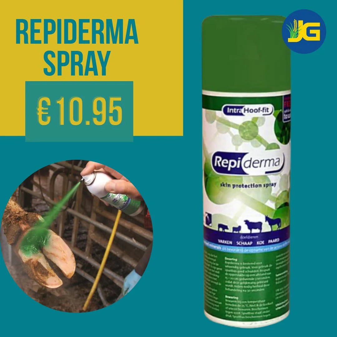 REPIDERMA SPRAY 250ML