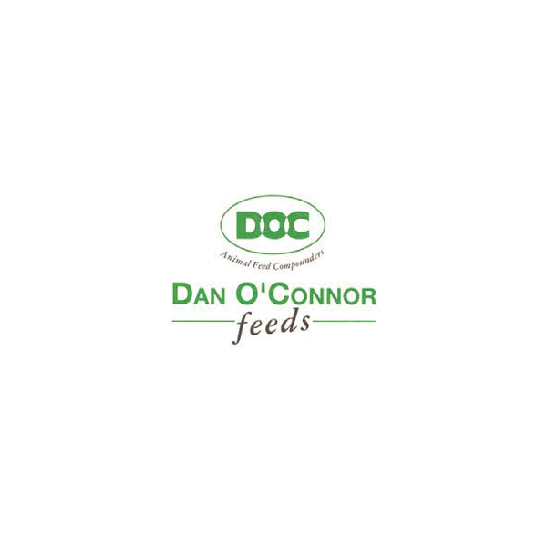 Dan O’Connor Feeds