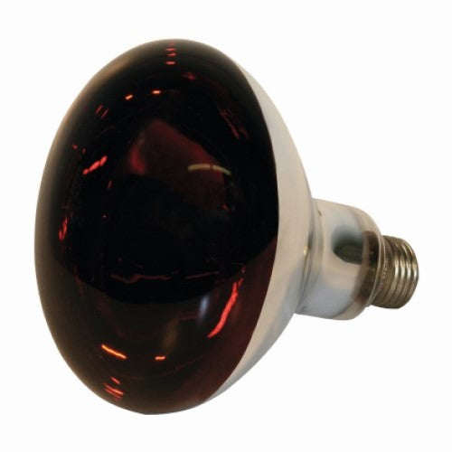 Infrared Bulb 250 Watt Red Kerbl