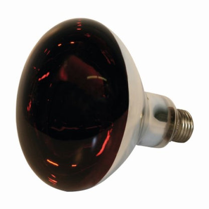 Infrared Bulb 250 Watt Red Kerbl